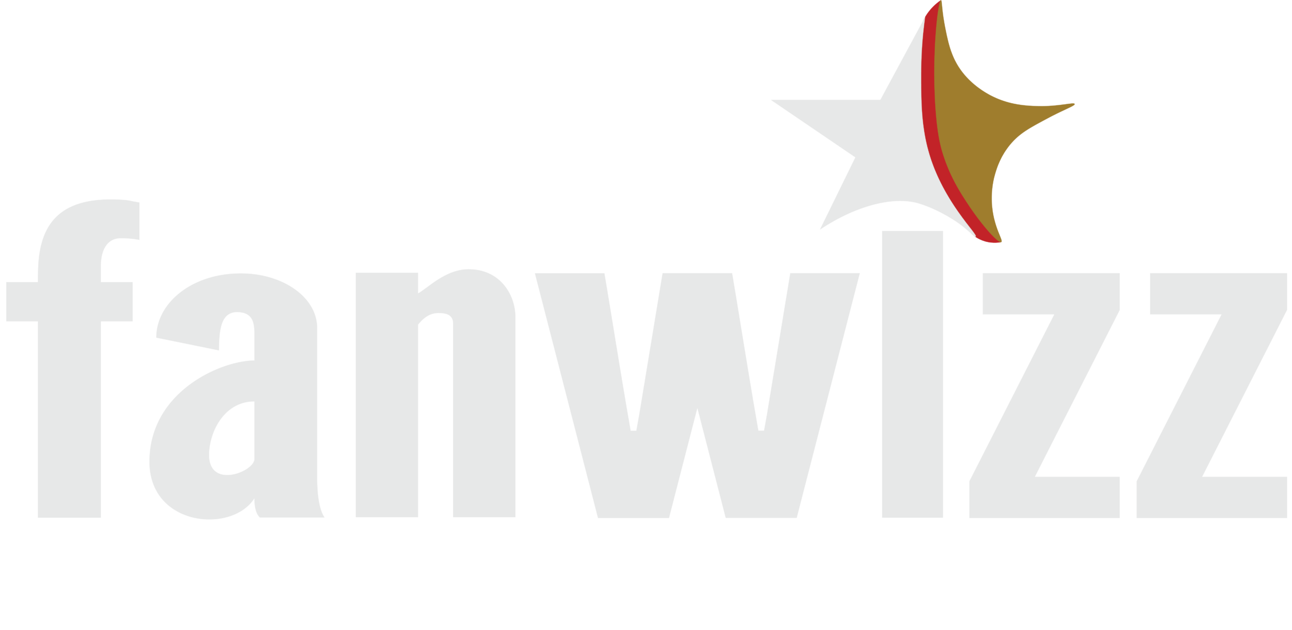 Fanwizz Logo 2026 White Final Scaled